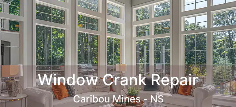  Window Crank Repair Caribou Mines - NS