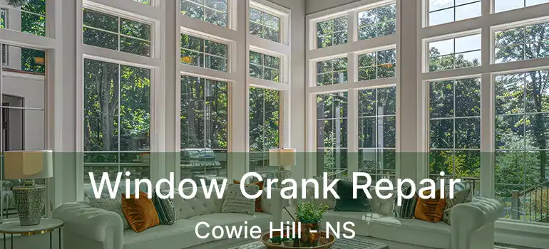  Window Crank Repair Cowie Hill - NS