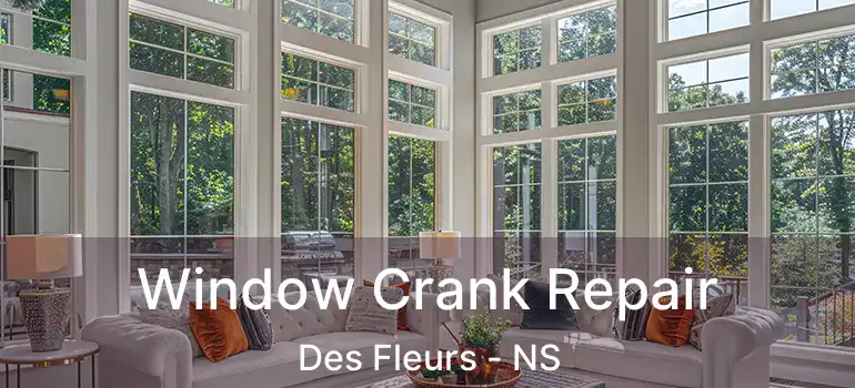  Window Crank Repair Des Fleurs - NS