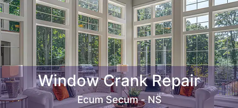  Window Crank Repair Ecum Secum - NS