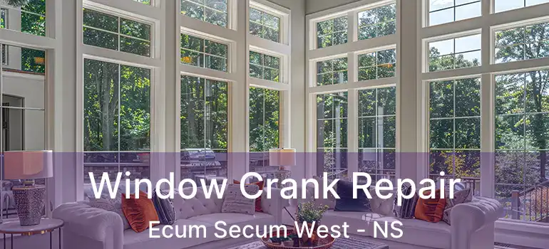  Window Crank Repair Ecum Secum West - NS