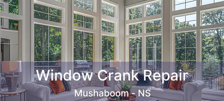  Window Crank Repair Mushaboom - NS