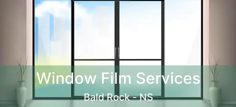  Window Film Services Bald Rock - NS