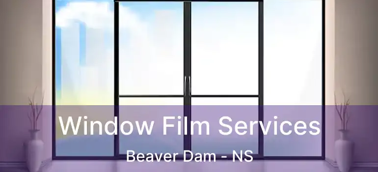  Window Film Services Beaver Dam - NS