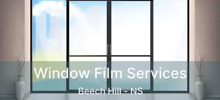  Window Film Services Beech Hill - NS