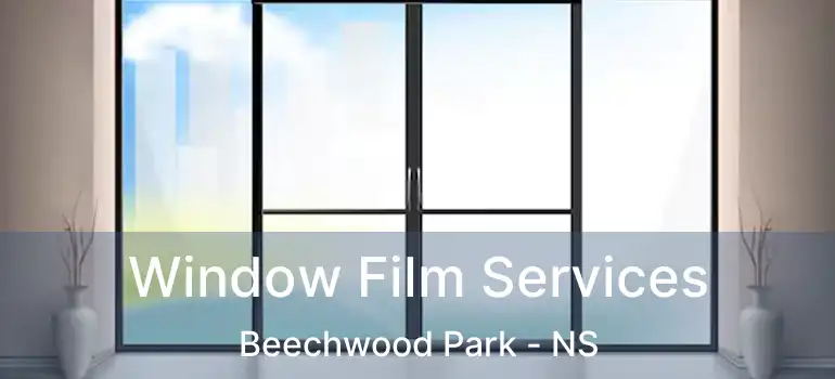  Window Film Services Beechwood Park - NS