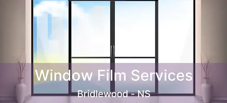  Window Film Services Bridlewood - NS