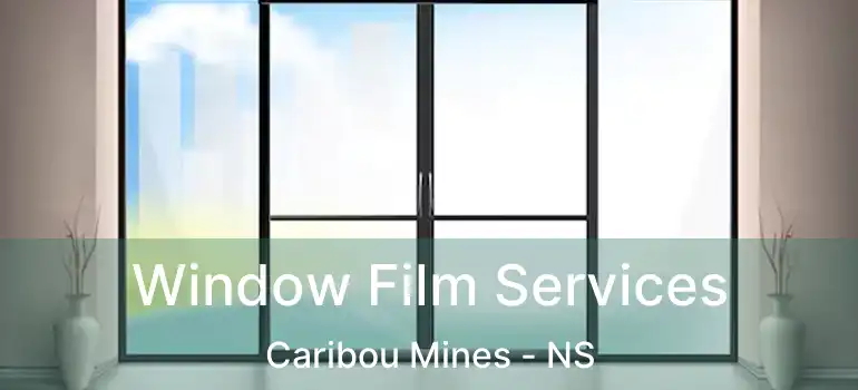  Window Film Services Caribou Mines - NS