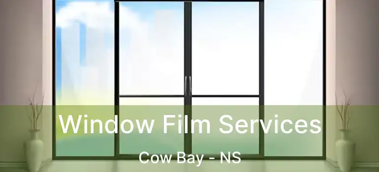  Window Film Services Cow Bay - NS