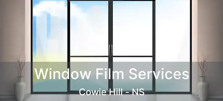  Window Film Services Cowie Hill - NS