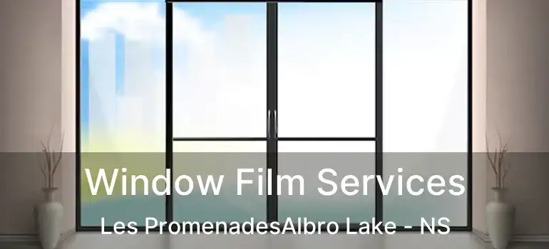  Window Film Services Les PromenadesAlbro Lake - NS