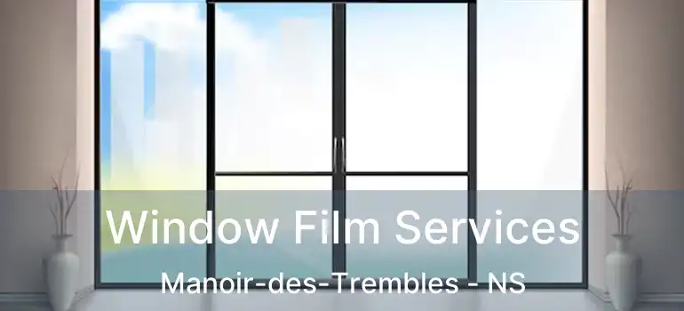  Window Film Services Manoir-des-Trembles - NS