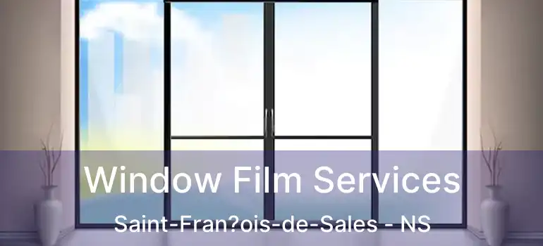  Window Film Services Saint-Fran?ois-de-Sales - NS