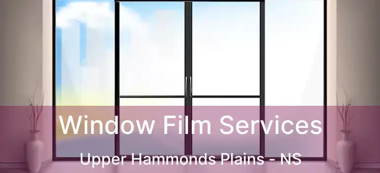  Window Film Services Upper Hammonds Plains - NS