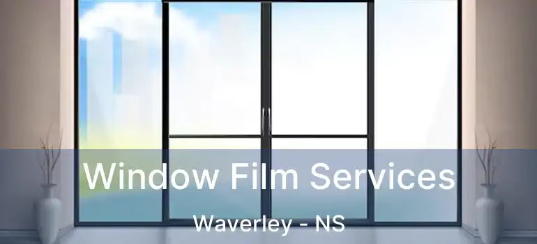  Window Film Services Waverley - NS