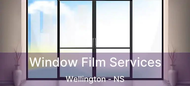  Window Film Services Wellington - NS