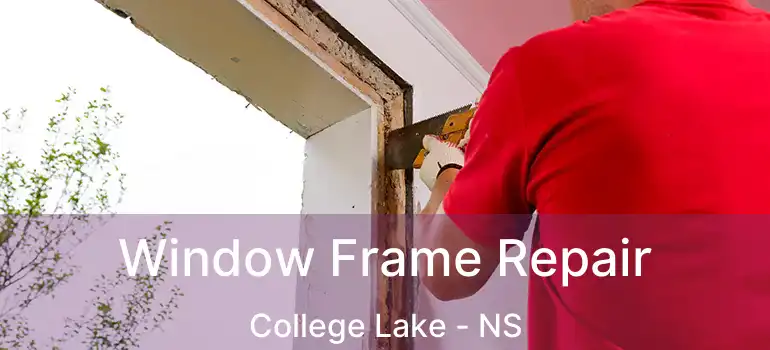  Window Frame Repair College Lake - NS