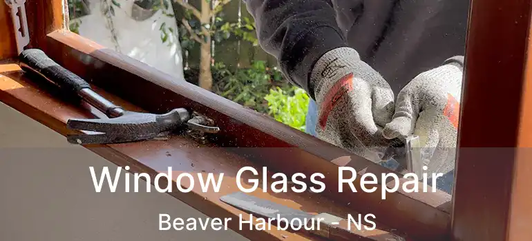  Window Glass Repair Beaver Harbour - NS