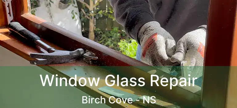  Window Glass Repair Birch Cove - NS