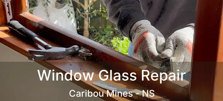  Window Glass Repair Caribou Mines - NS