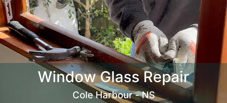  Window Glass Repair Cole Harbour - NS