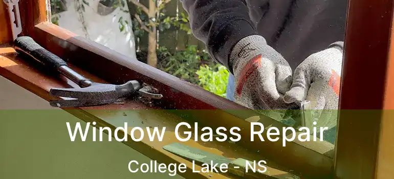  Window Glass Repair College Lake - NS