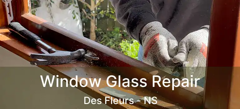  Window Glass Repair Des Fleurs - NS