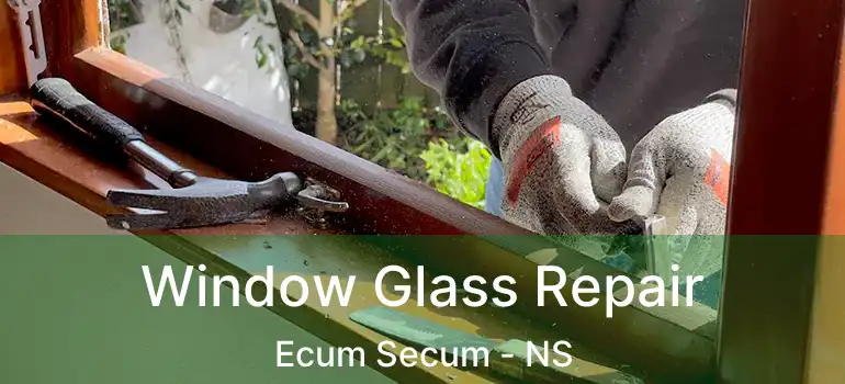  Window Glass Repair Ecum Secum - NS