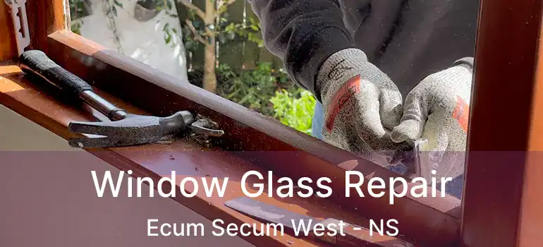  Window Glass Repair Ecum Secum West - NS