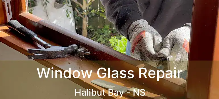  Window Glass Repair Halibut Bay - NS