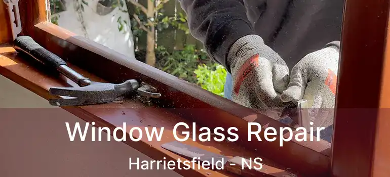  Window Glass Repair Harrietsfield - NS