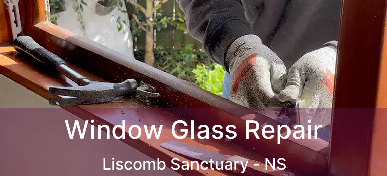  Window Glass Repair Liscomb Sanctuary - NS