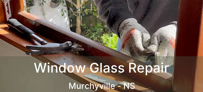  Window Glass Repair Murchyville - NS