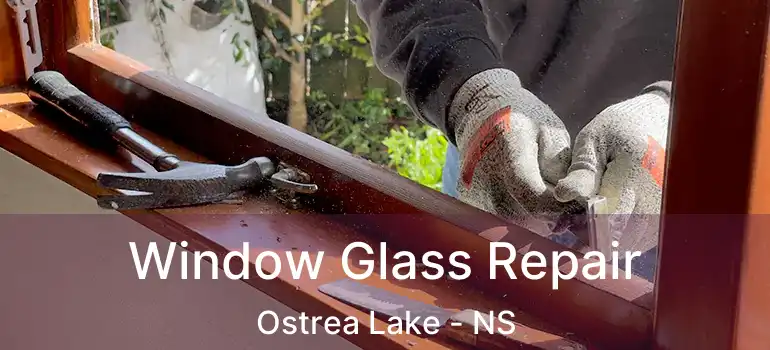  Window Glass Repair Ostrea Lake - NS