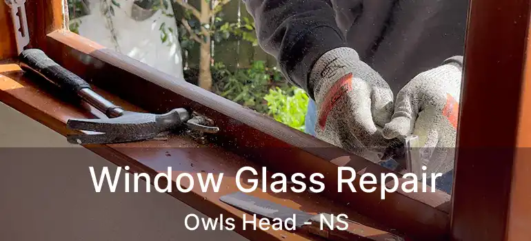  Window Glass Repair Owls Head - NS