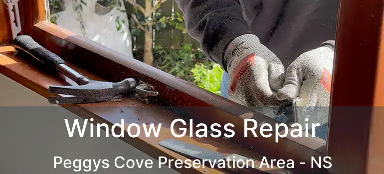  Window Glass Repair Peggys Cove Preservation Area - NS