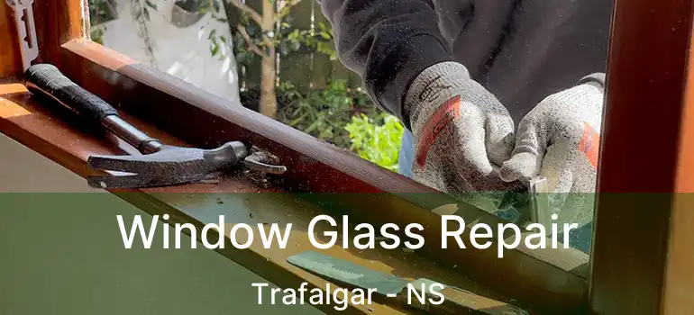  Window Glass Repair Trafalgar - NS