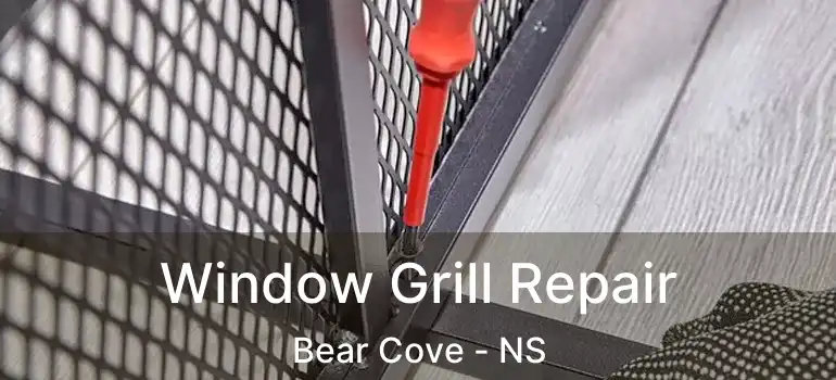  Window Grill Repair Bear Cove - NS