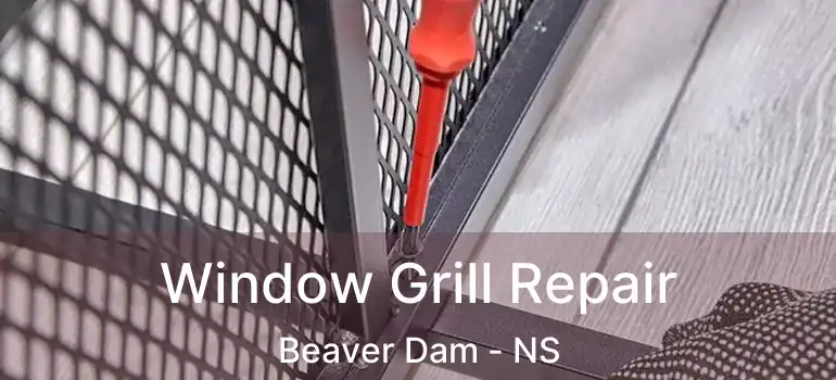  Window Grill Repair Beaver Dam - NS