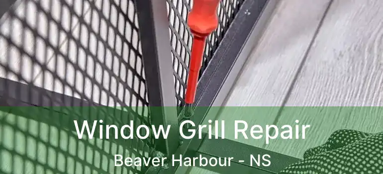  Window Grill Repair Beaver Harbour - NS