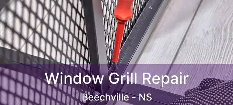  Window Grill Repair Beechville - NS