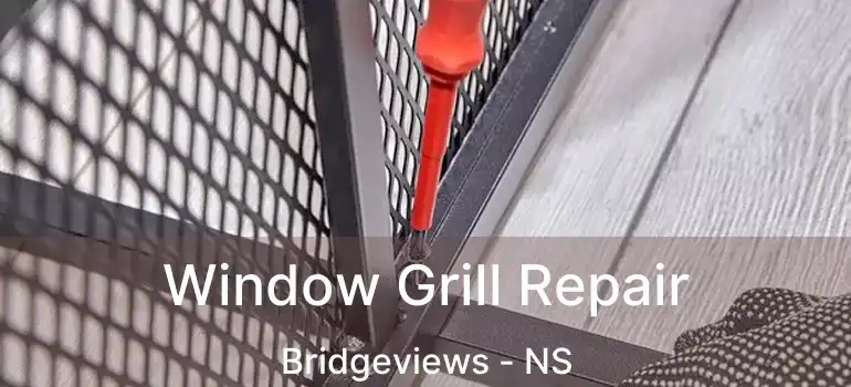  Window Grill Repair Bridgeviews - NS