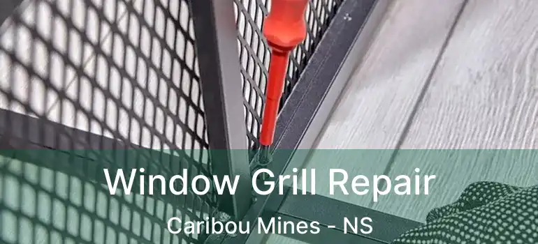  Window Grill Repair Caribou Mines - NS