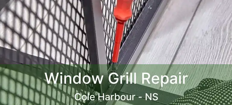  Window Grill Repair Cole Harbour - NS