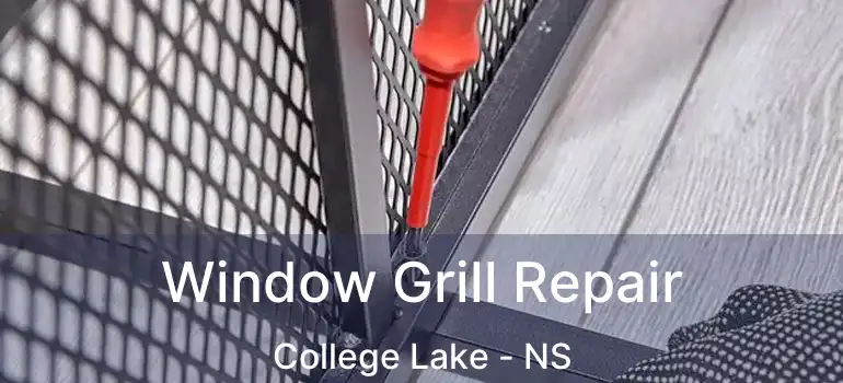  Window Grill Repair College Lake - NS