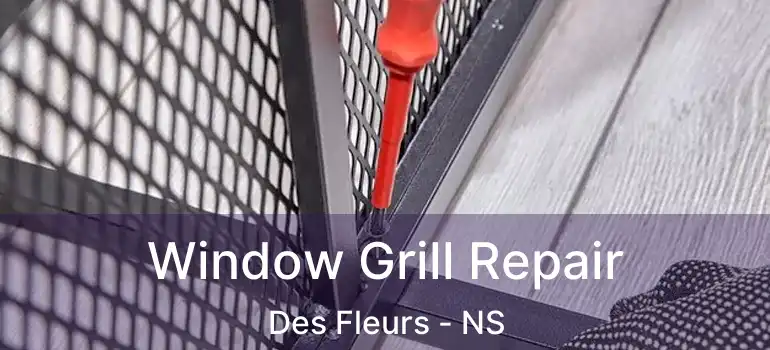  Window Grill Repair Des Fleurs - NS