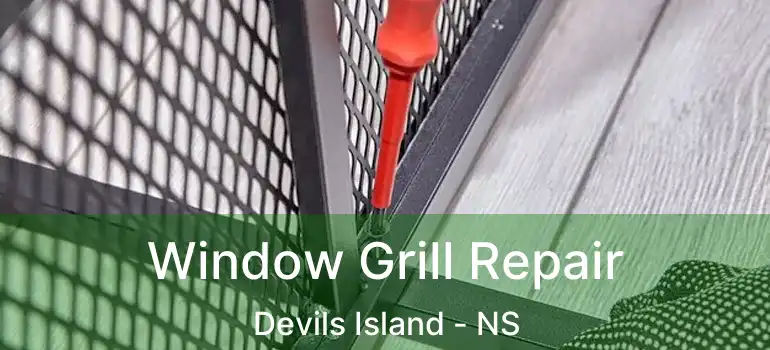  Window Grill Repair Devils Island - NS