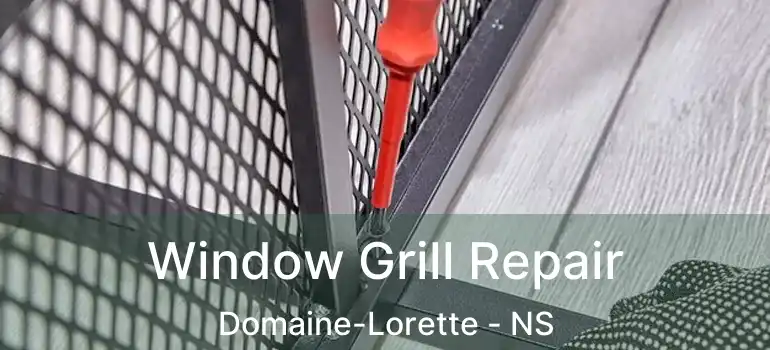  Window Grill Repair Domaine-Lorette - NS