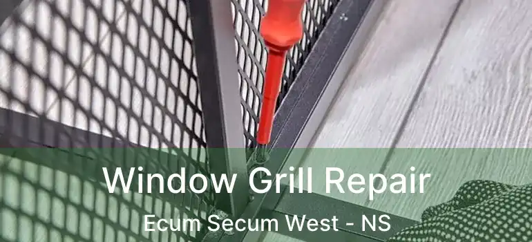  Window Grill Repair Ecum Secum West - NS