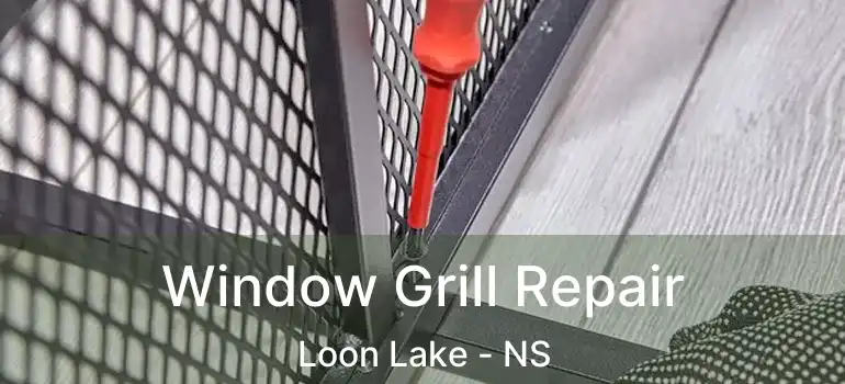  Window Grill Repair Loon Lake - NS